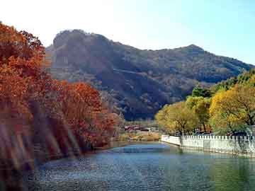 风景的短视频（风景的短视频一分钟）